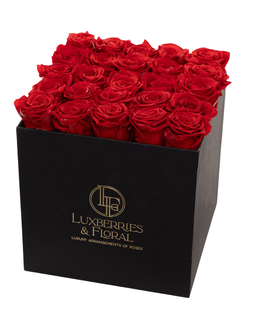 Everlasting Roses - Luxberries & Floral