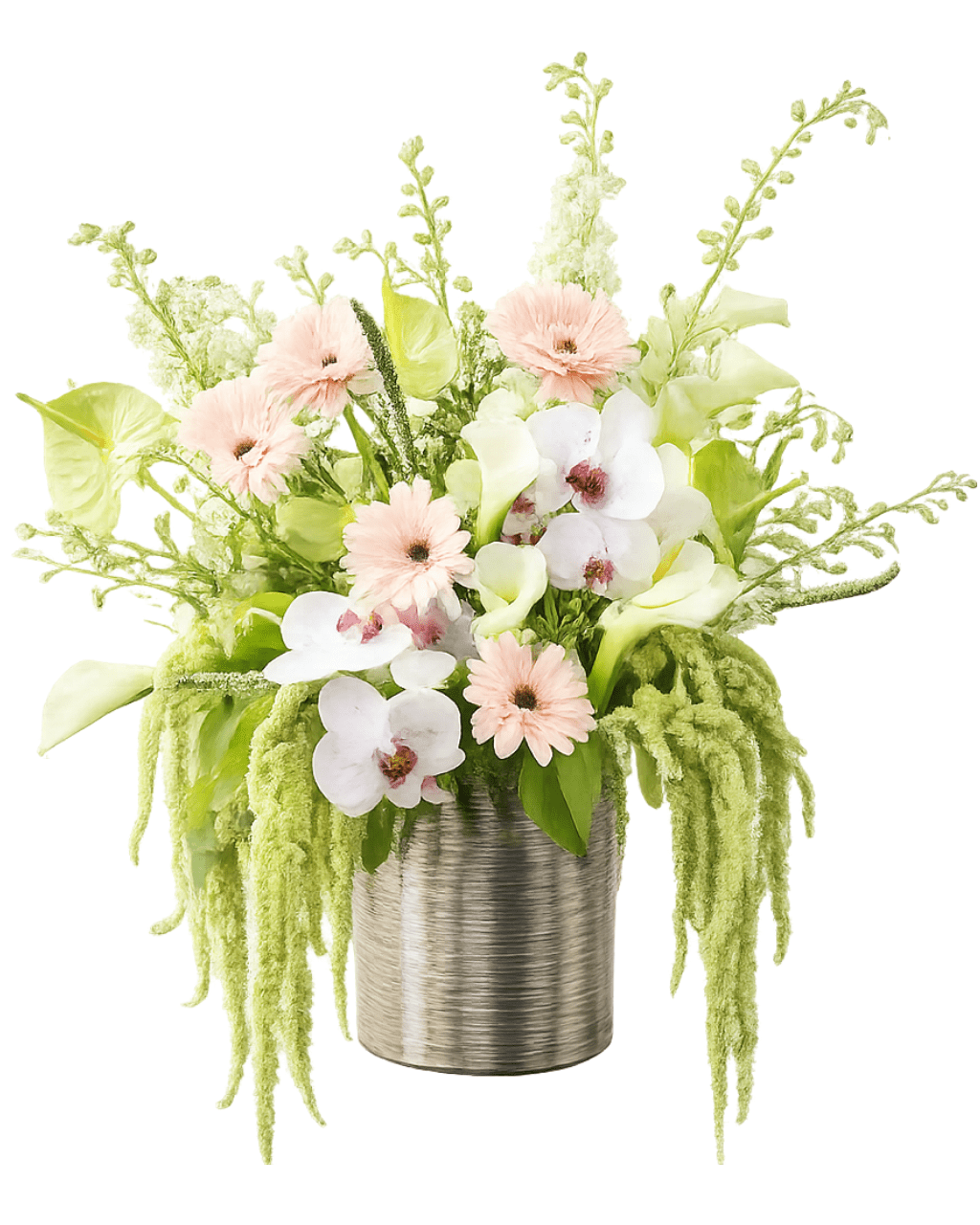Home Collection - Luxberries & Floral