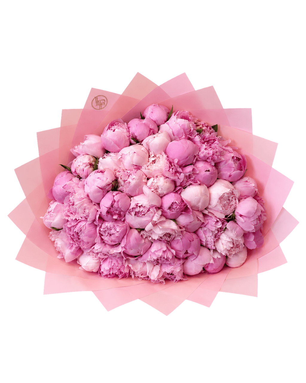 100 Pink Peony Bouquet - Luxberries & Floral