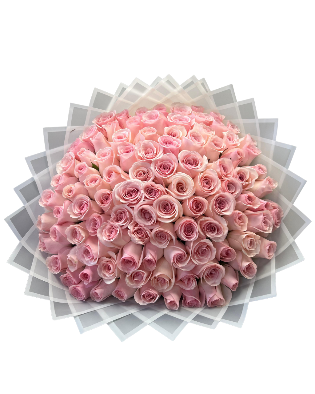 Bouquet of pink roses on a white background