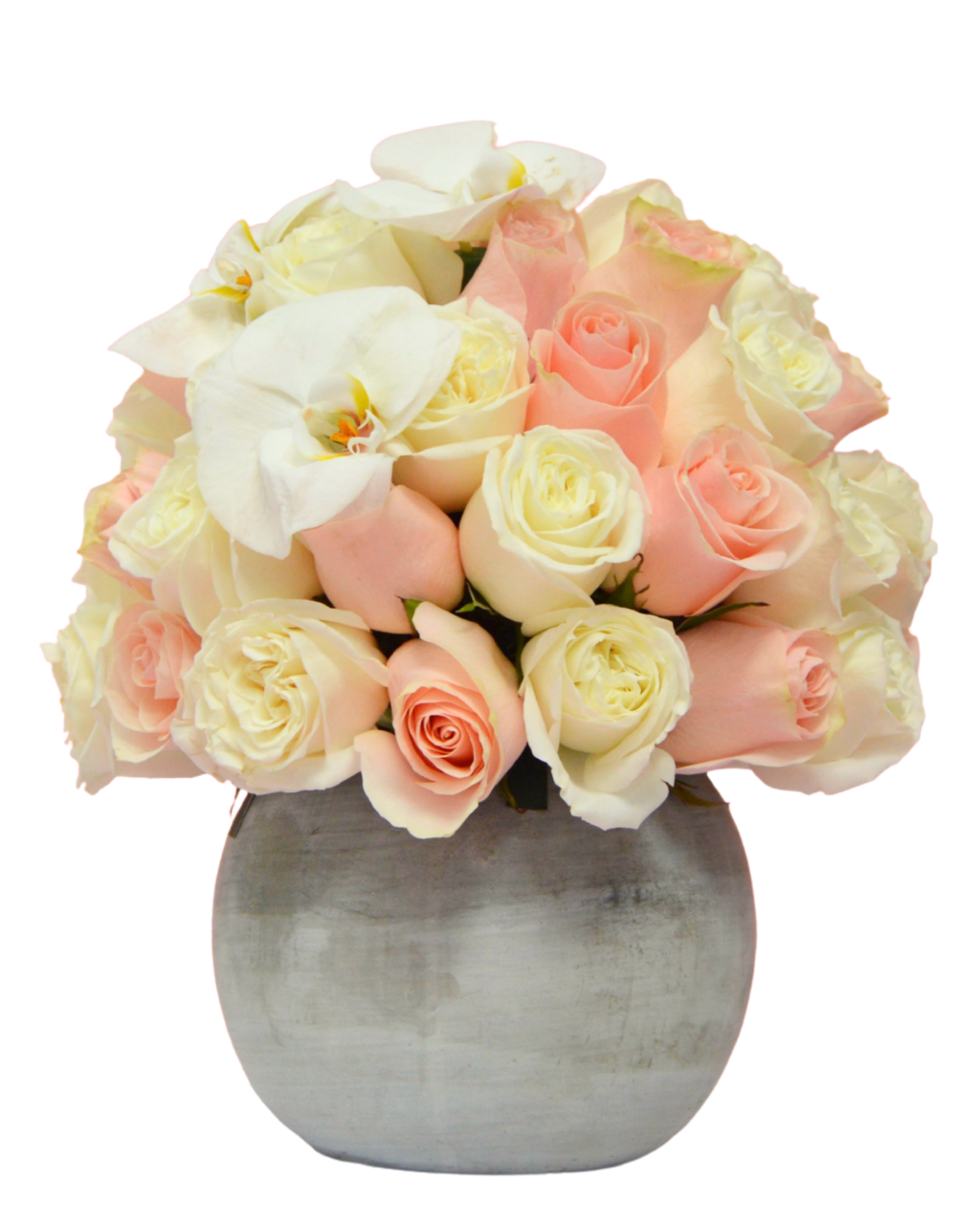 Bouquet of pink and white roses in a gray vase on a white background