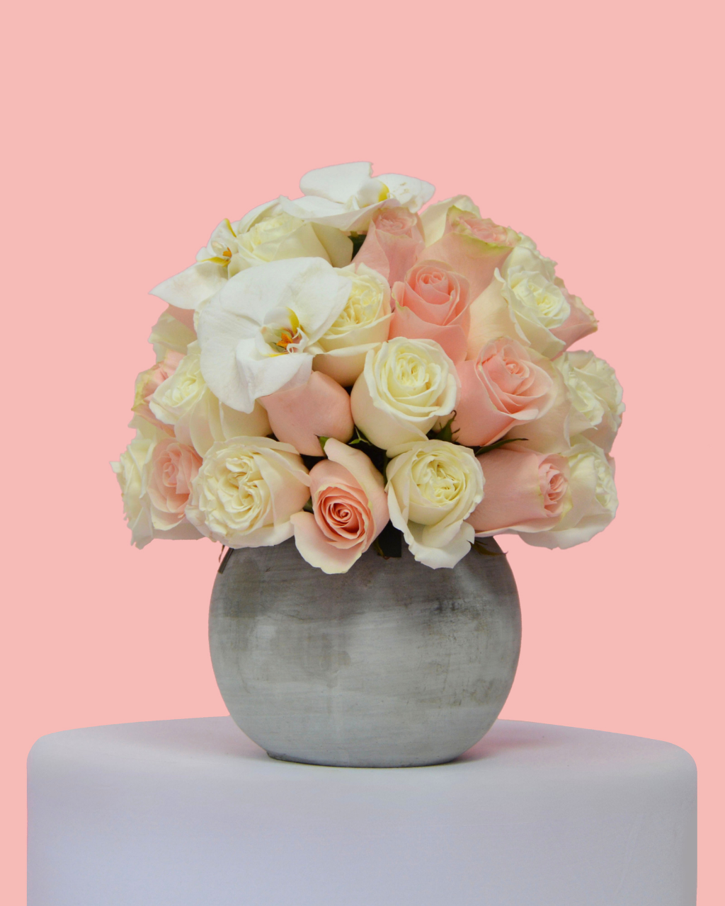 Bouquet of pink and white roses in a gray vase on a pink background