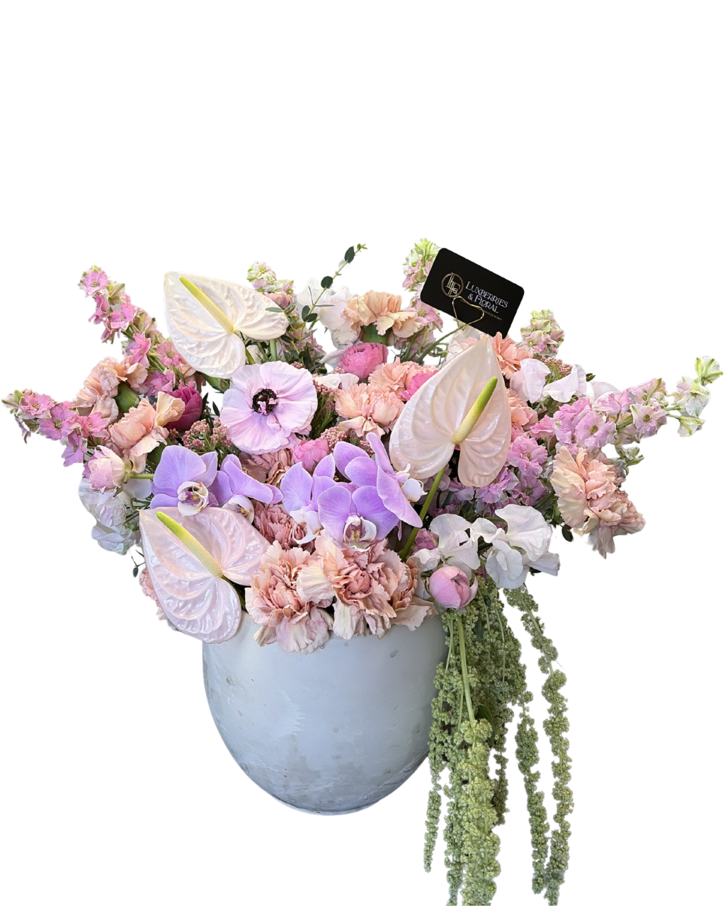 Pink Orchid & Anthurium Home Arrangement Luxberries & Floral