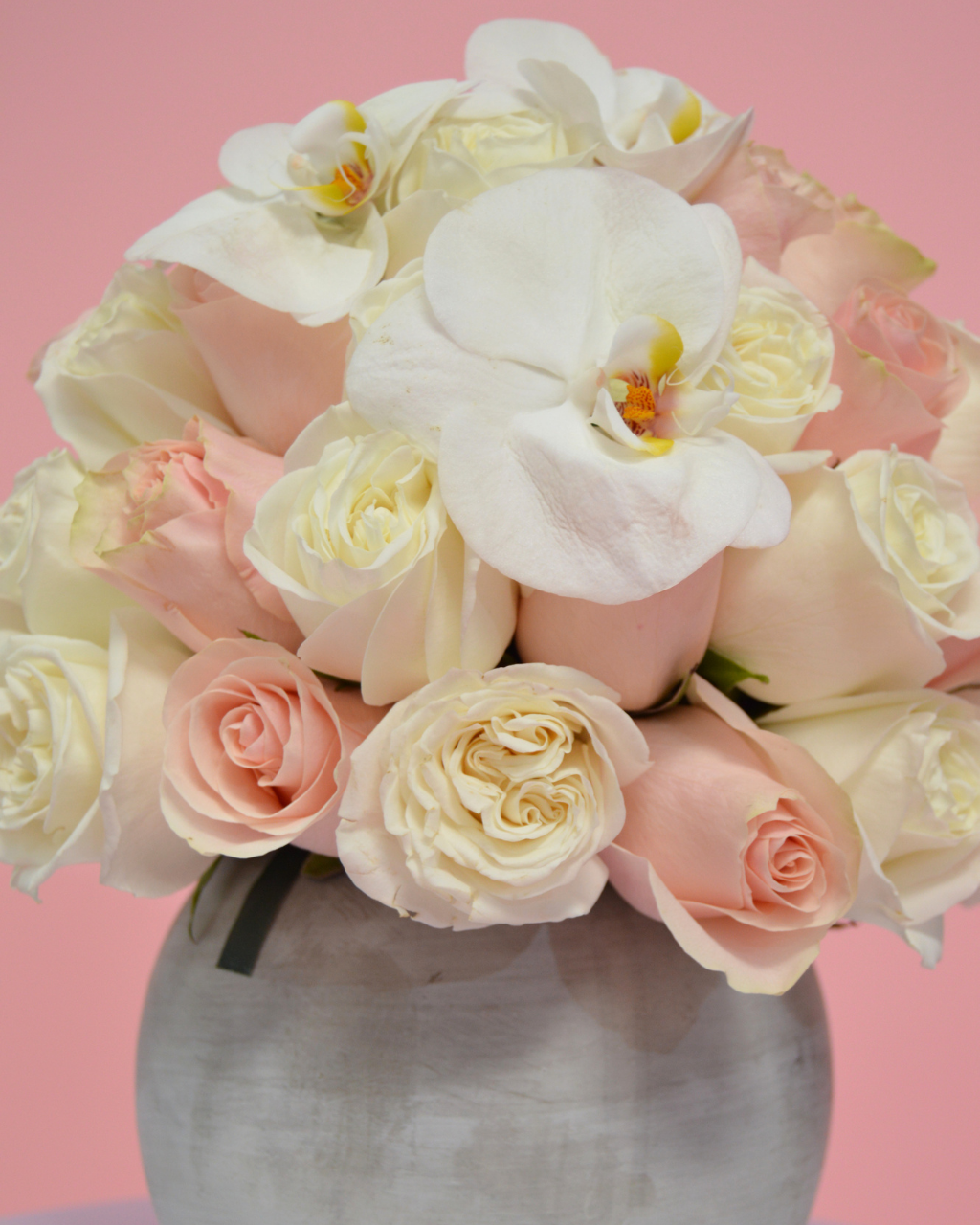 Bouquet of white and pink flowers in a vase against a pink background