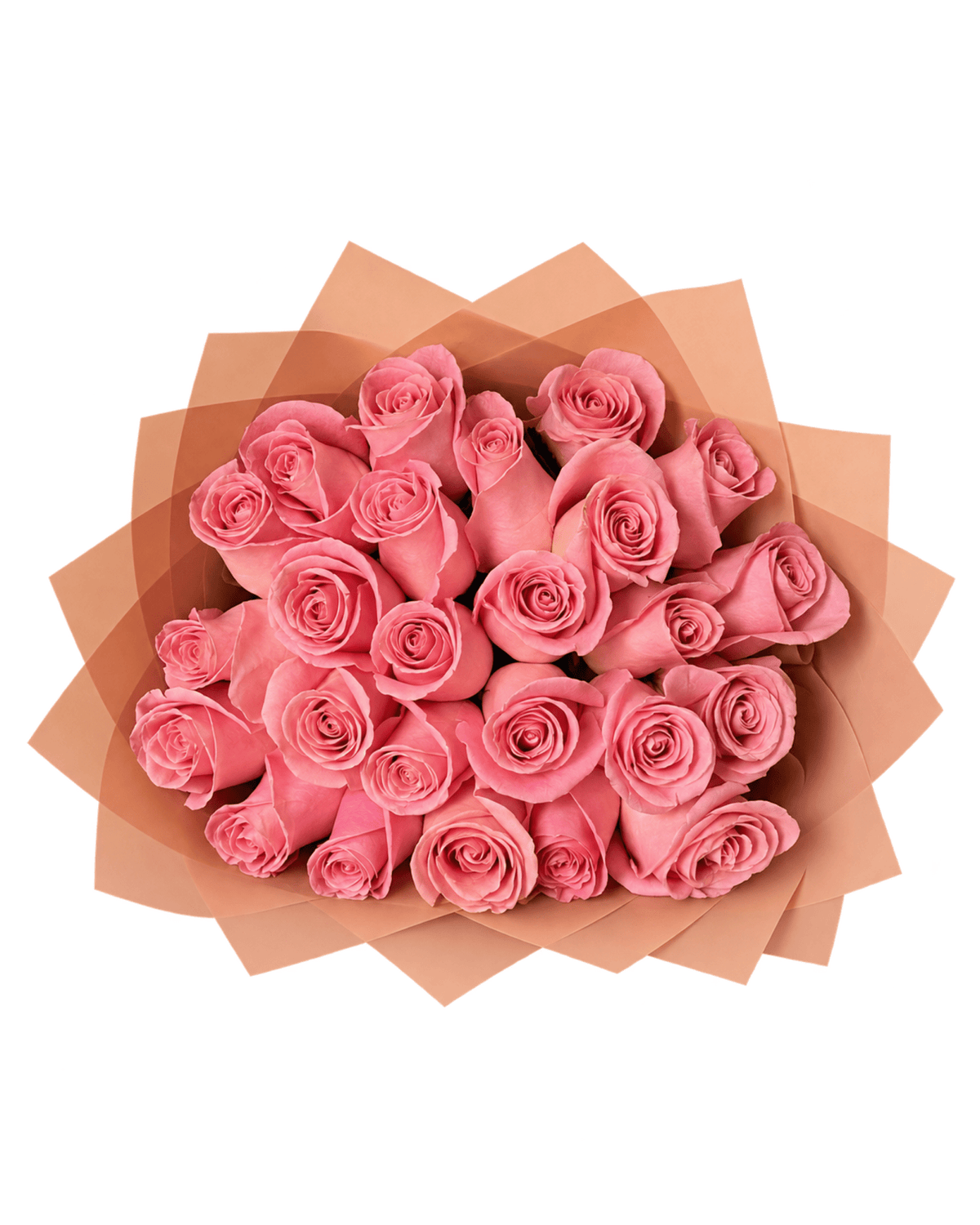 25 Premium Pink Rose Bouquet - Luxberries & Floral