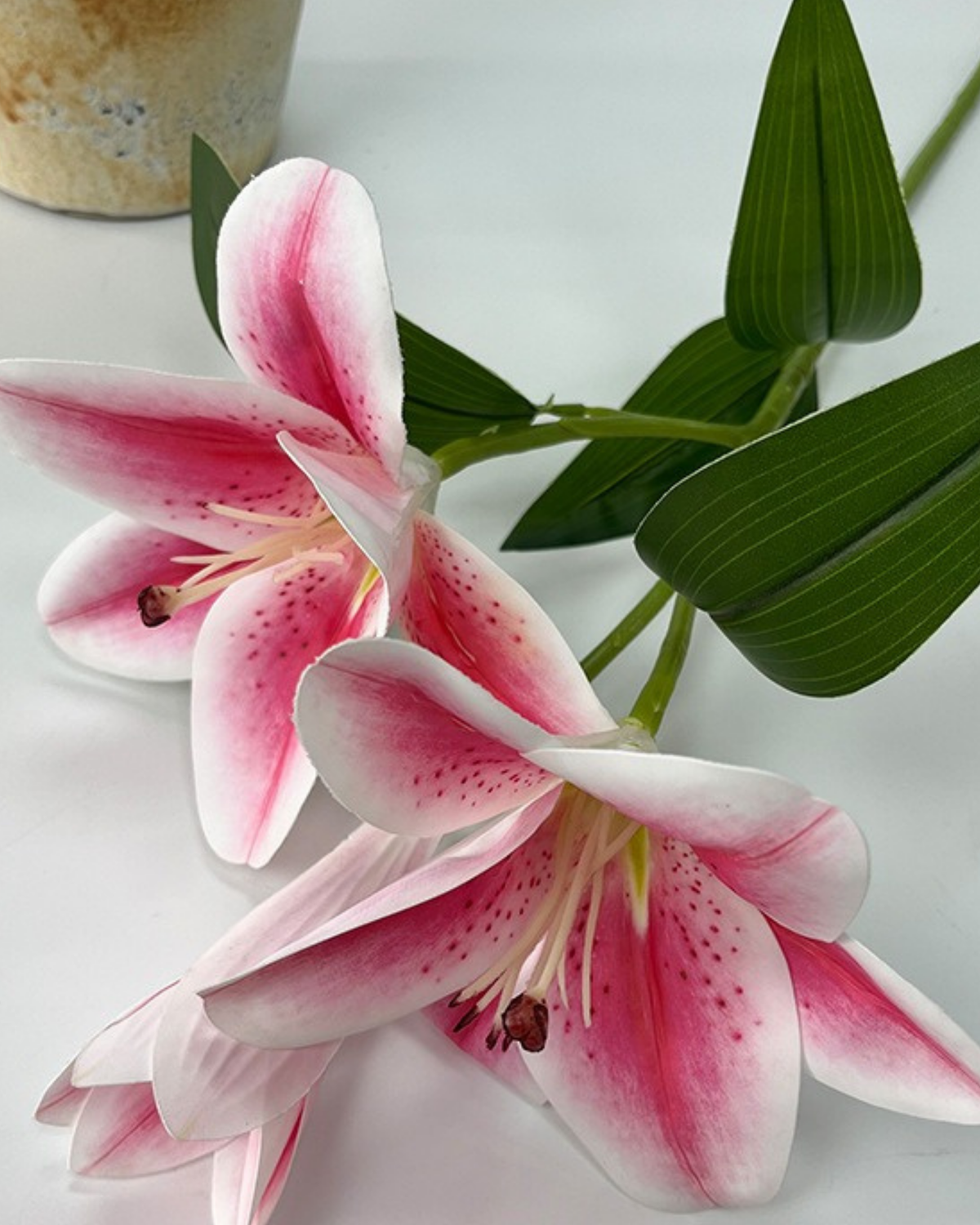 Pink and white lilies with green leaves on a light gray surface.