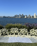 Coronado View Luxury Proposal Package - Luxberries & Floral