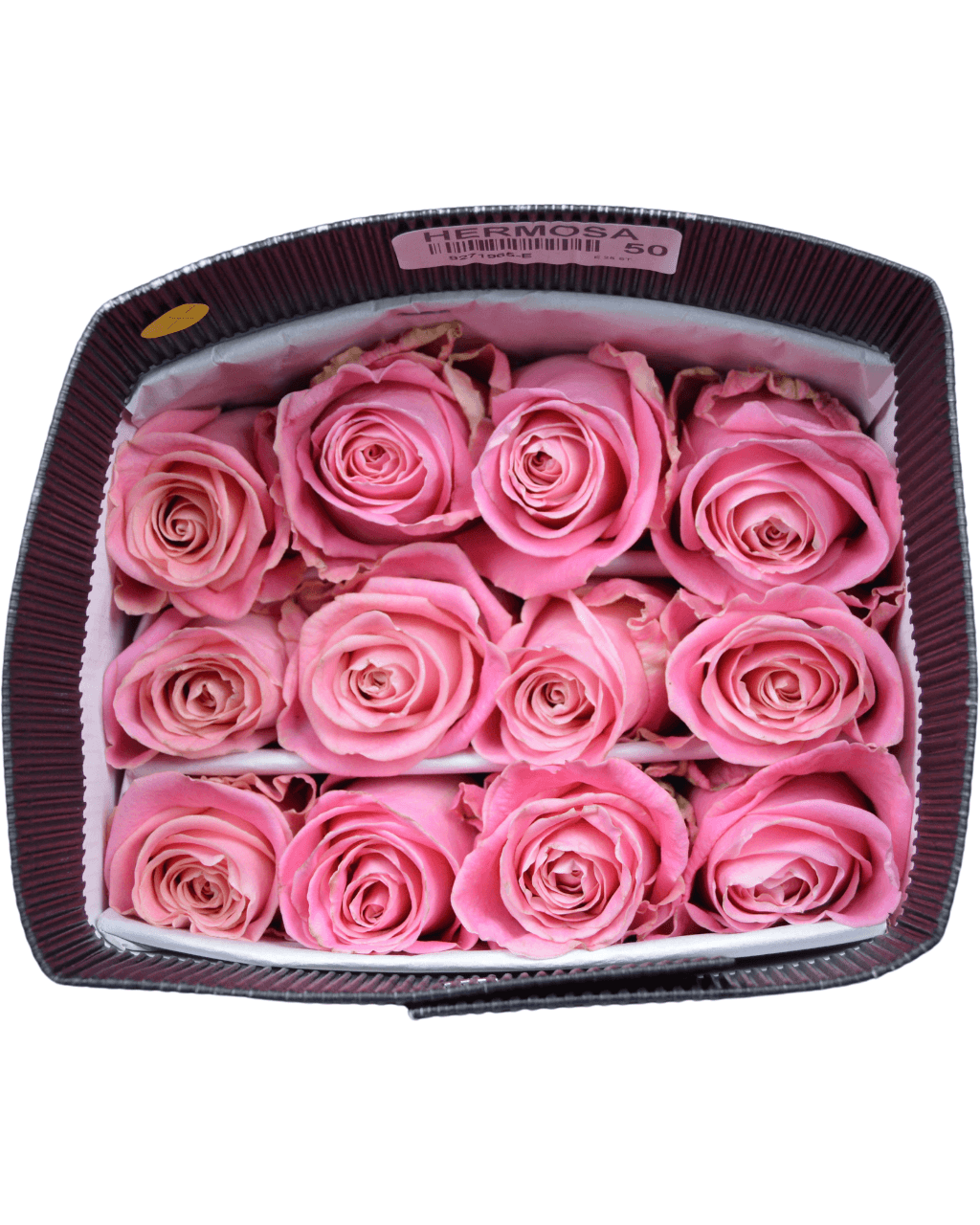Hermosa - Luxberries & Floral