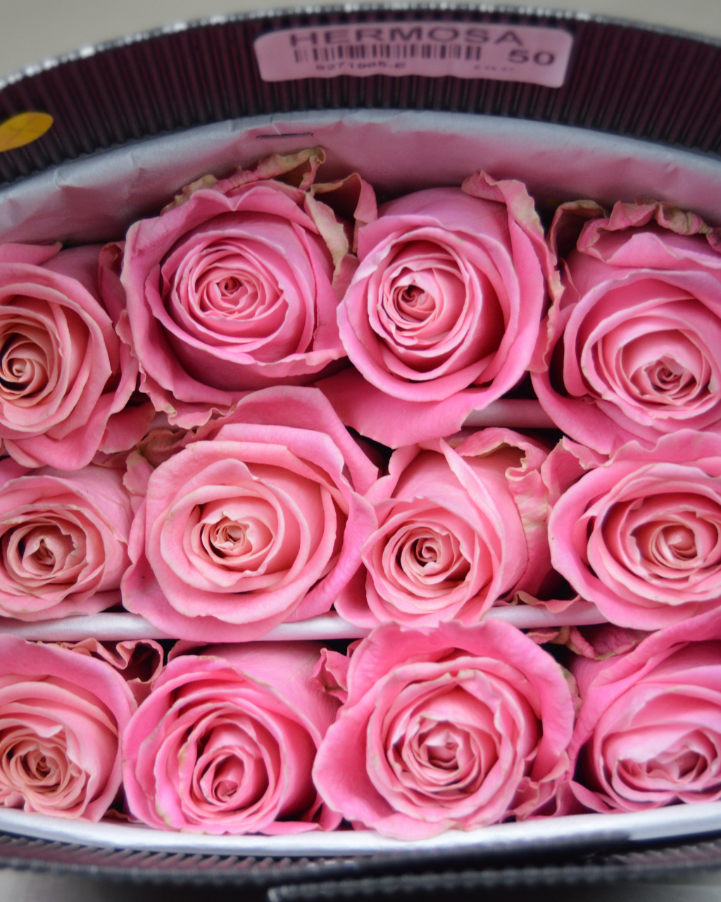 Hermosa Luxberries & Floral