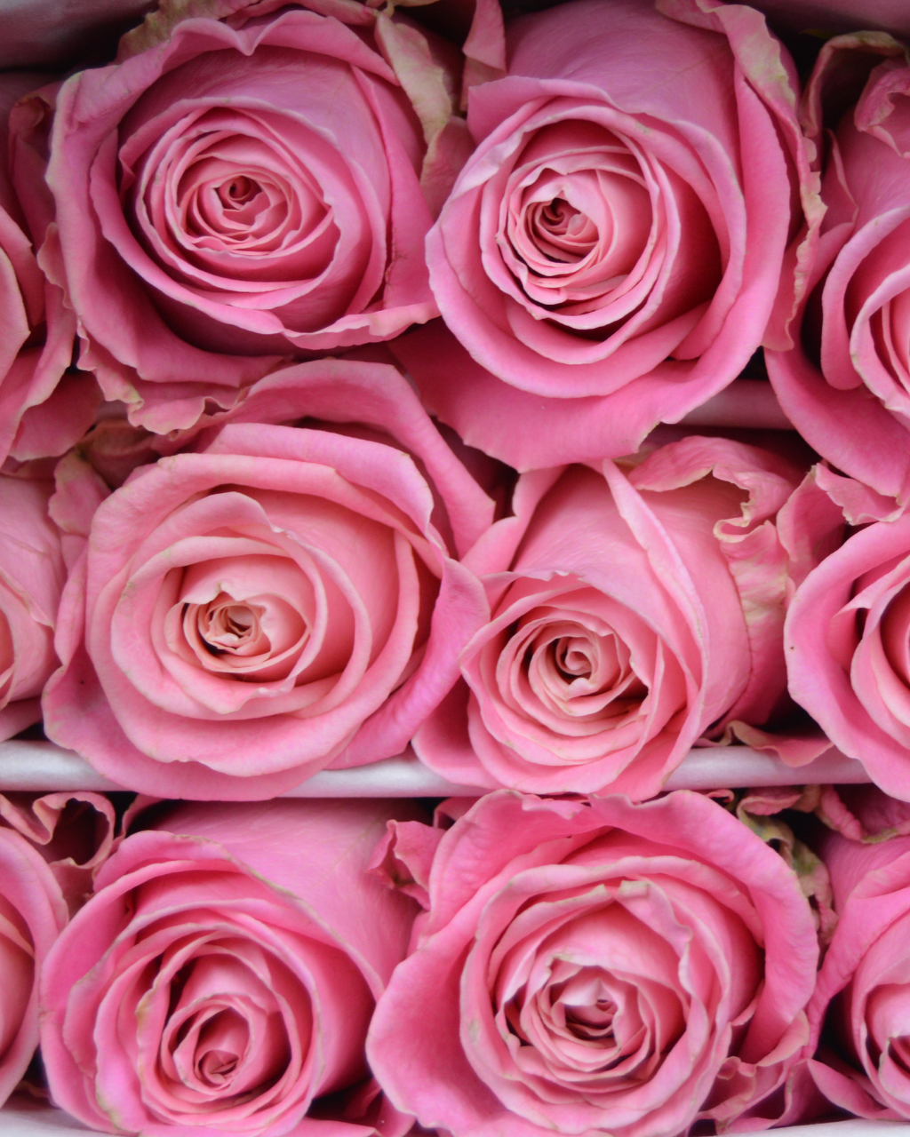 Hermosa Luxberries & Floral