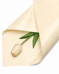 Korean Bouquet Wrapping Paper - Luxberries & Floral