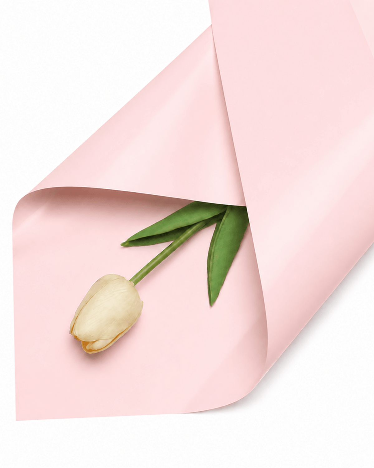 Korean Bouquet Wrapping Paper - Luxberries & Floral