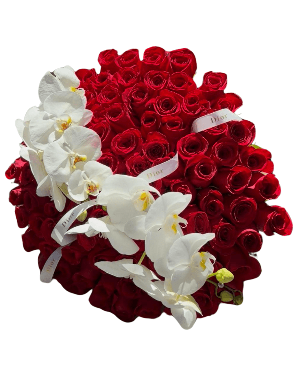Orchid Roses - Luxberries & Floral