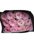 Pink O’Hara Luxberries & Floral