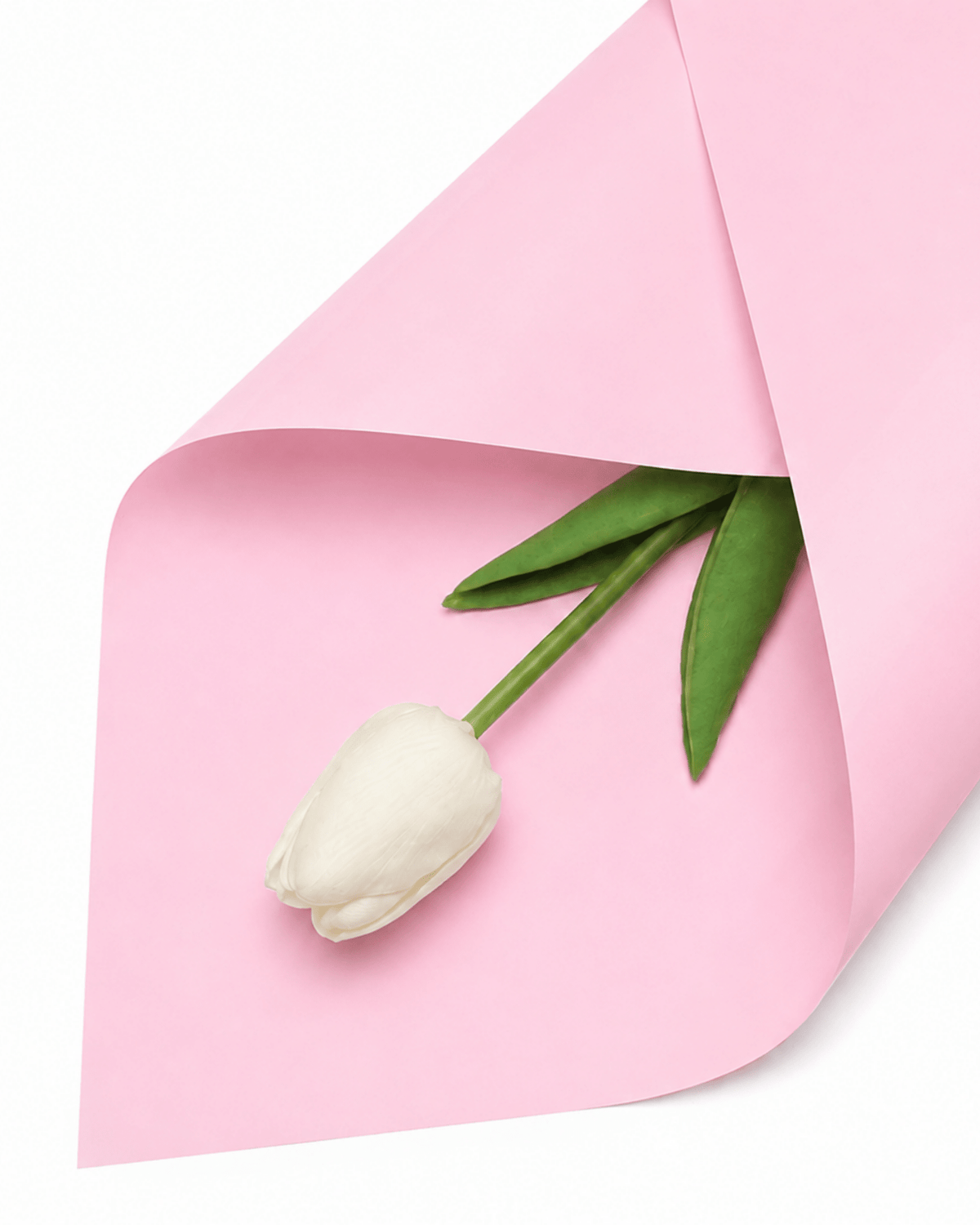 Pink Translucent Bouquet Wrapping Paper - Luxberries & Floral