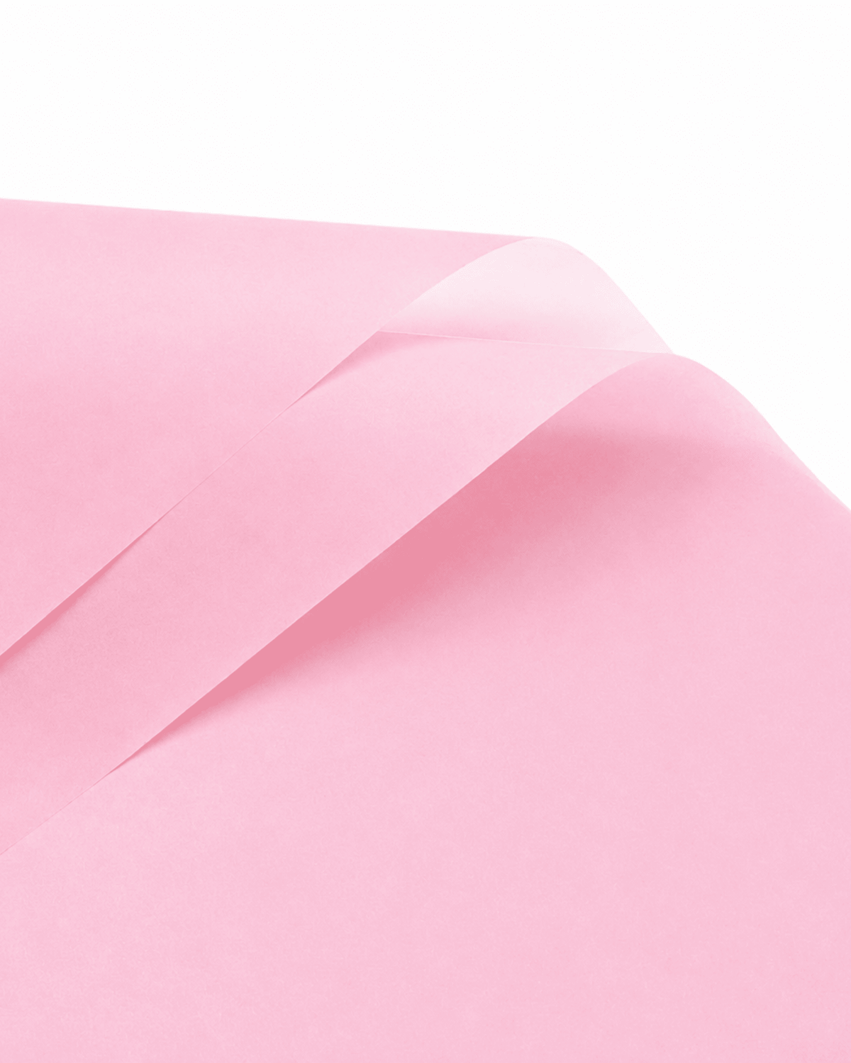 Pink Translucent Bouquet Wrapping Paper - Luxberries & Floral