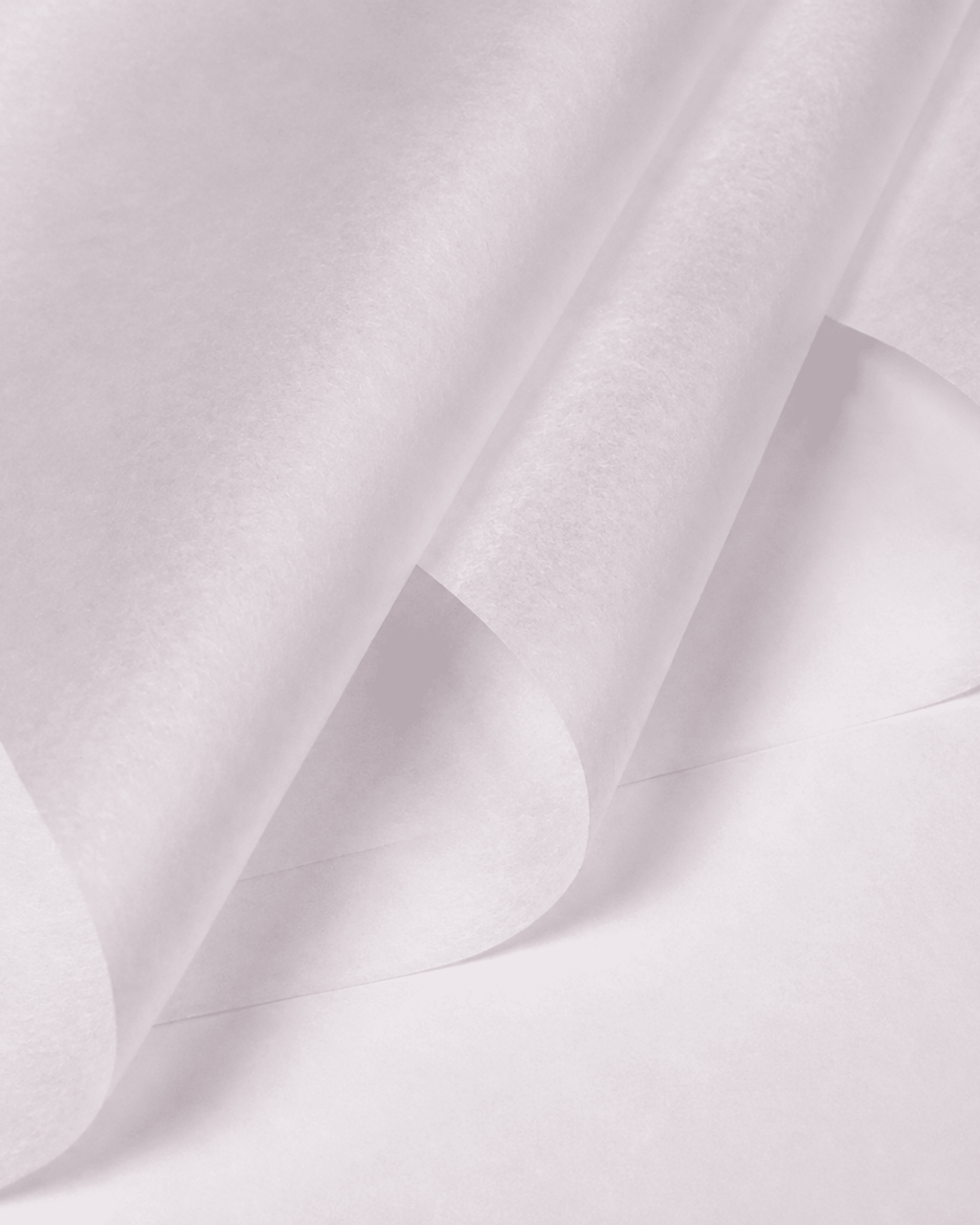 White Milk Tissue Paper - Luxberries & Floral