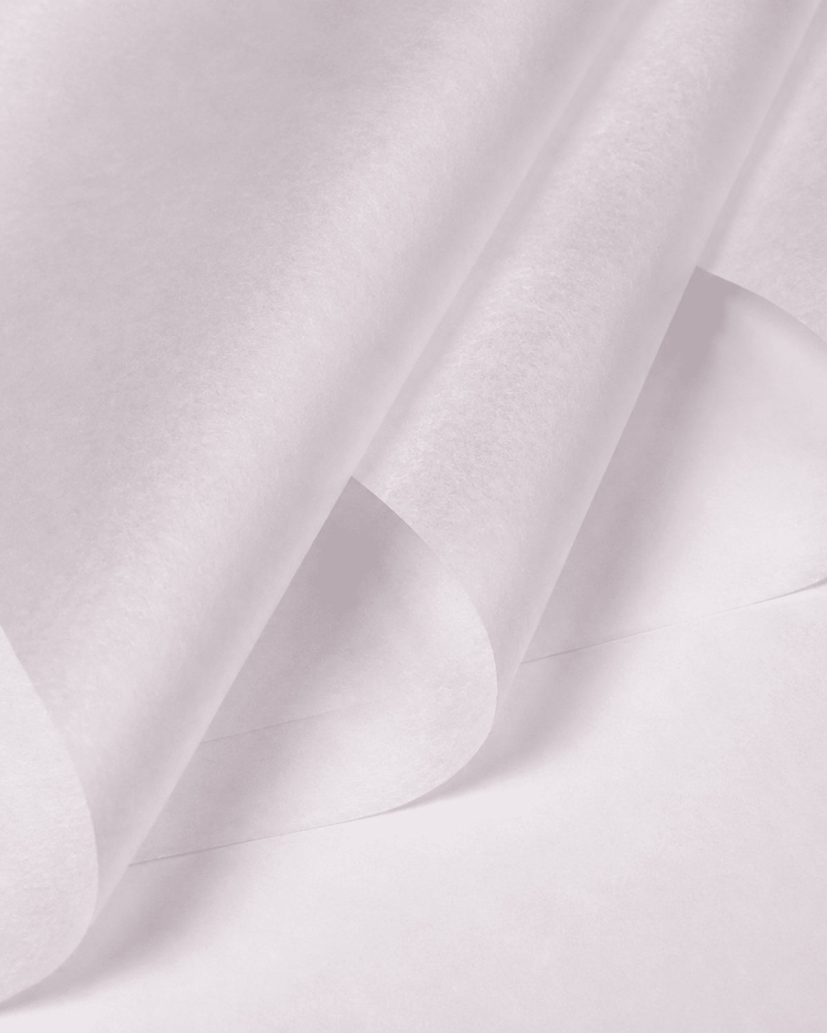 White Milk Tissue Paper - Luxberries & Floral